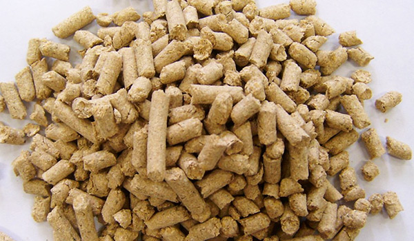 Pellet de afrechillo de Trigo