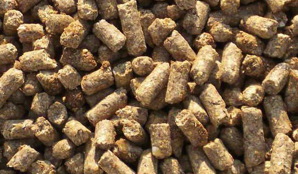 Afrecho de Canola
